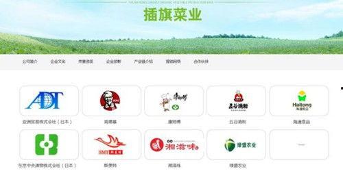 插旗菜业爆料新闻最新消息,揭秘行业黑幕,真相令人震惊!